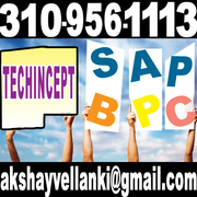 SAP BPC ONLINE TRAINING BPC ONLINE TRAINING SAP ONLINE TRAINING