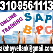 SAP BPC ONLINE TRAINING