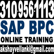 SAP BPC TRAINING SAP BPC TRAINING