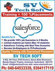 salesforce training with 100% placements