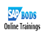     SAP BODS DEFINING DATA PLATFORM TRANSFORMS training classes