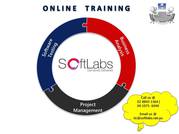 Online Software Testing Training