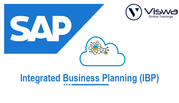 SAP IBP (Integrated Business Planning) Online Training